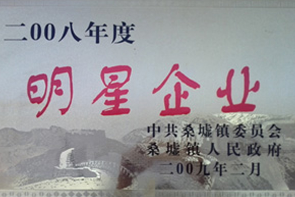 08年明星企业